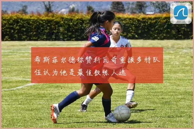 希斯菲尔德称赞科瓦奇重振多特队伍认为他是最佳教练人选