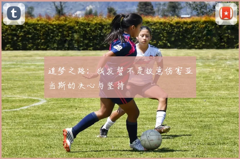 追梦之路：我发誓不是故意伤害亚当斯的决心与坚持