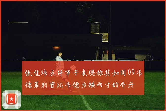 张佳玮点评华子表现称其如同09韦德莱利曾比韦德为矮两寸的乔丹